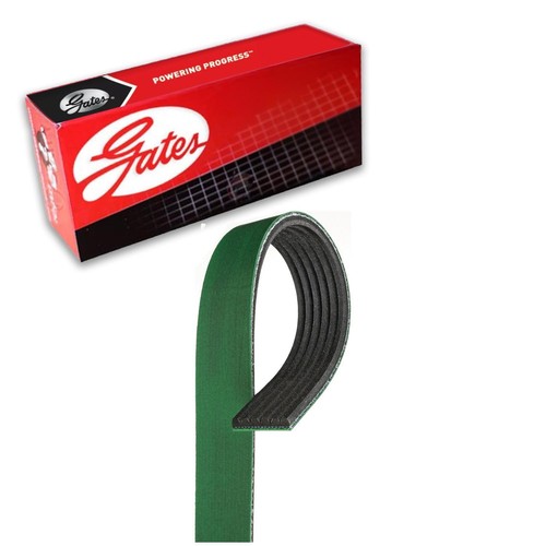 Gates serpentine belt - serpentine, for