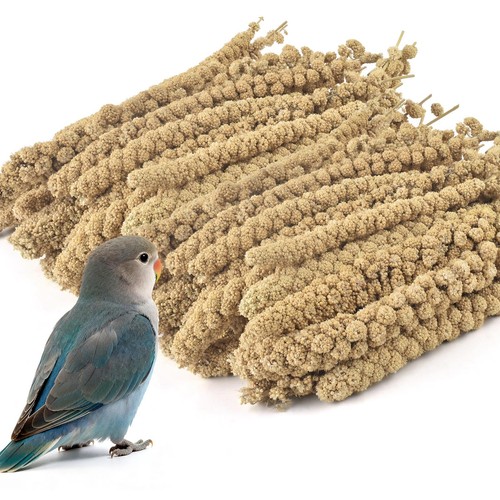Natural spray millet treat - treat, for