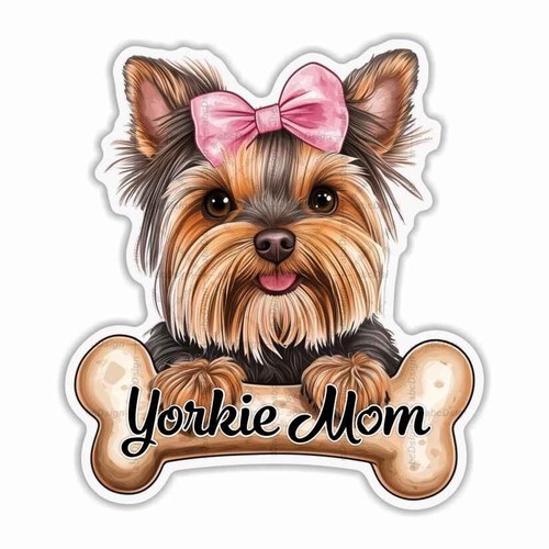Yorkie mom pets dogs - yorkie, mom,