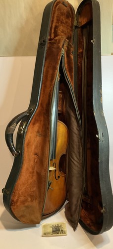 Vintage nicolaus amati copy - vintage,