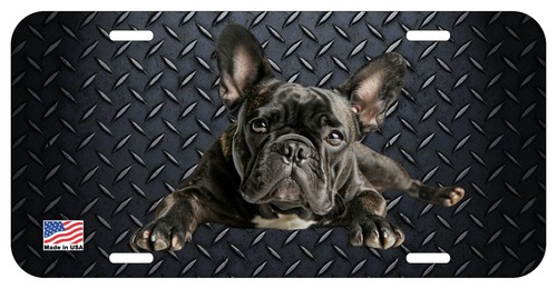 French bulldog brindle lying - french,