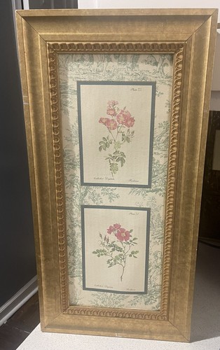 Framed botanical flowers - botanical,