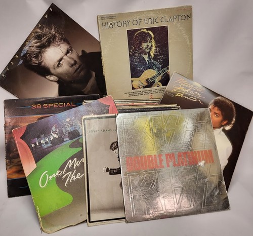 Empty vinyl record album - empty,