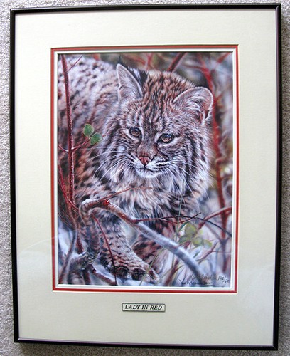 Lady red very rare - red”,
