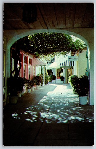 Palm beach florida via - palm,