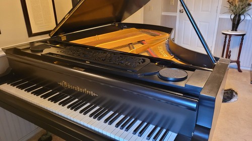 Historic bosendorfer grand - historic,