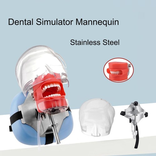 Dental simulator mannequin - simulator,
