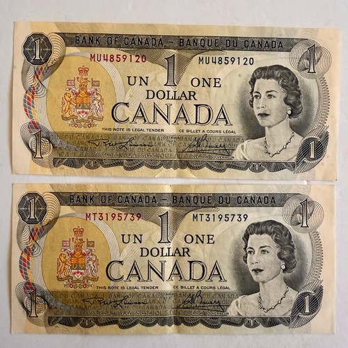 🇨🇦🇨🇦🇨🇦Lot of