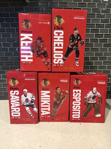 Chicago blackhawks bobblehead - blackhawks,