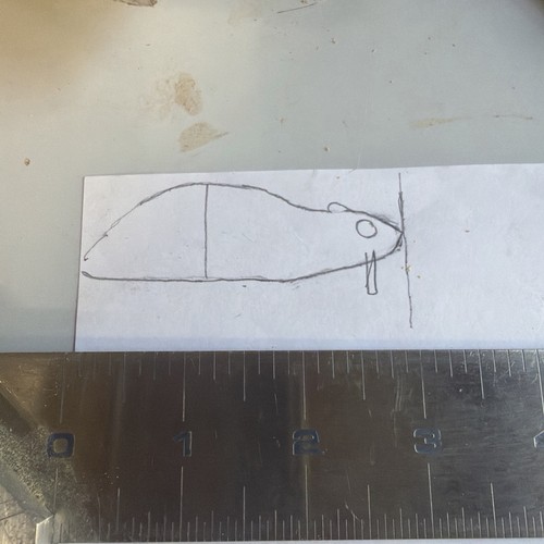 Mouse bait glide - mouse,
