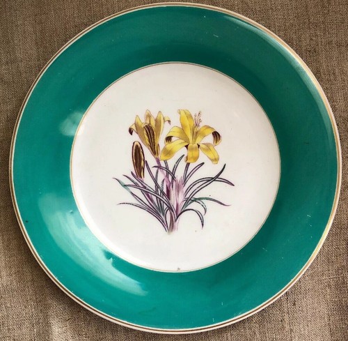 Royal worcester williamson - royal,