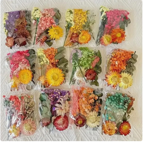 Mixed dried pressed flowers - dried,