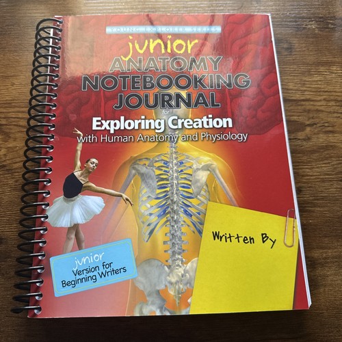 Exploring creation with human - exploring,