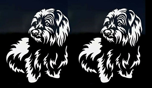 Yorkie terrier dog - terrier, pet