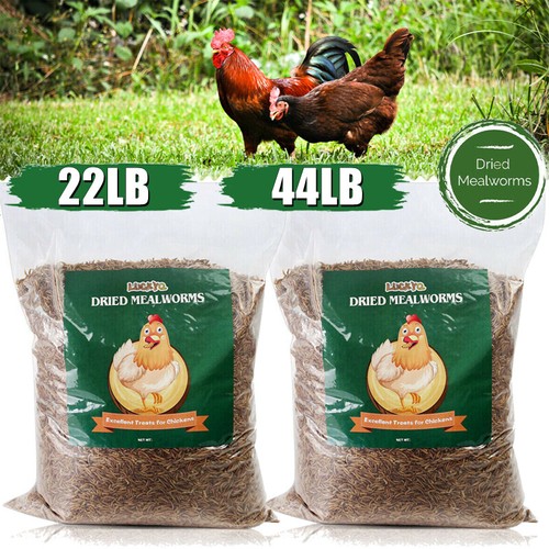 Lbs bulk dried mealworms - lbs,