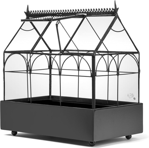 Terrarium plant succulent - terrarium,