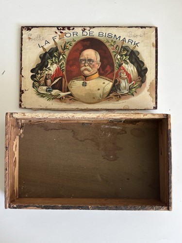 Antique flor bismark - flor, de