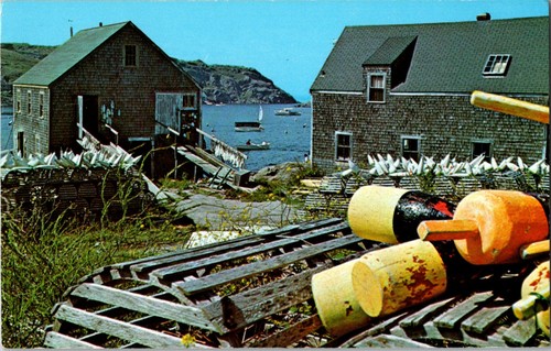 Lobster pots and - lobster, on