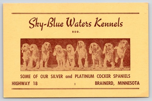 Brainerd sky blue waters - brainerd~sky,