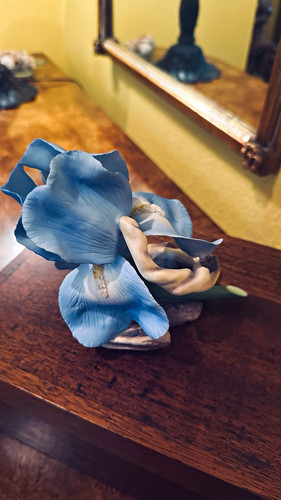 Boehm bone porcelain - boehm,