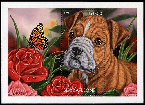 Boxer german dog postage - dog, stamp