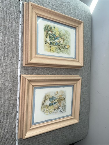 Pair framed peter rabbit - pair,