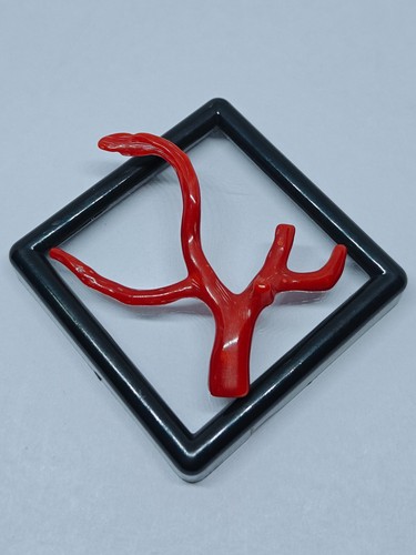 Italian red coral rough - italian, branch