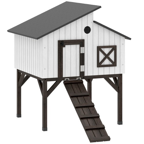 Chicken coop hen - hen, with