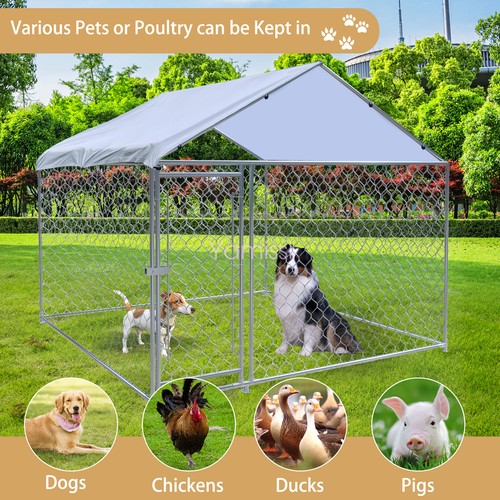 5x6 5ft large outdoor dog - large,