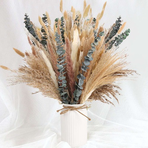 110pcs pampas grass - pampas, natural