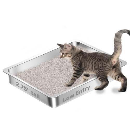 Low entry stainless steel cat - steel,
