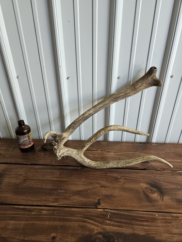Farm freak elk club - freak,