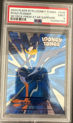 Road runner looney tunes - runner,