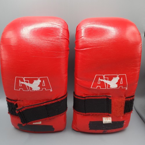 Ata martial arts taekwondo - arts,