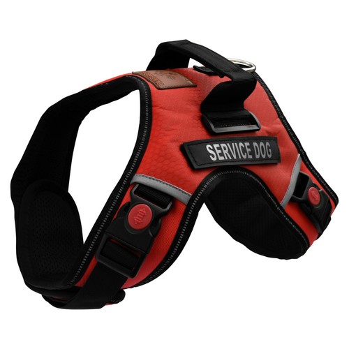 Albcorp reflective service dog - albcorp,