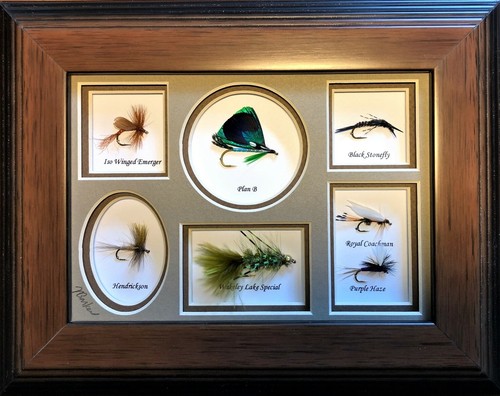 Framed and mounted trout - framed,
