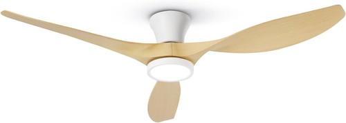 Flush mount ceiling fan - flush,