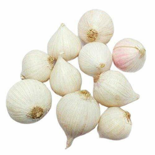 Desi single clove - single,