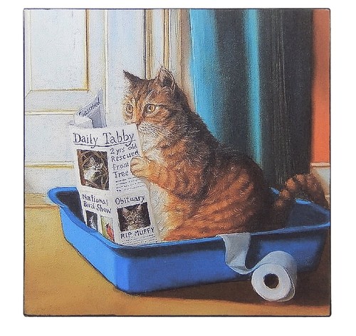 Cat reading newspaper - cat,