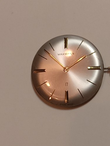 Wakmann watch movement - wakmann, 17