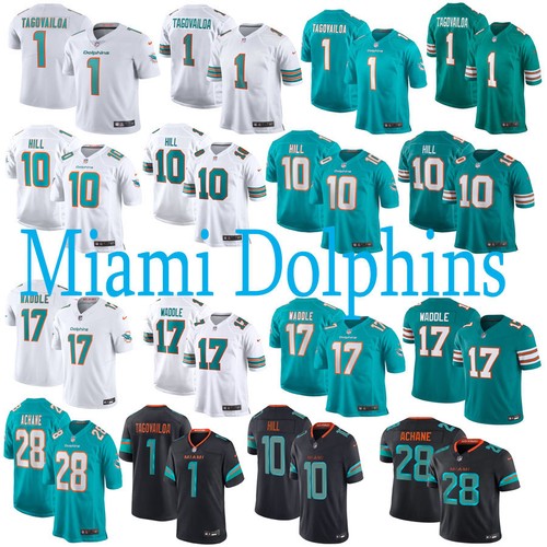 Men dolphins player - men's,