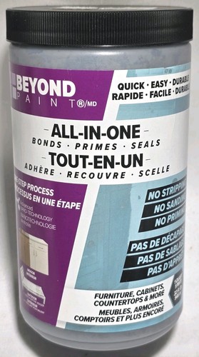 Beyond paint all in - oz,