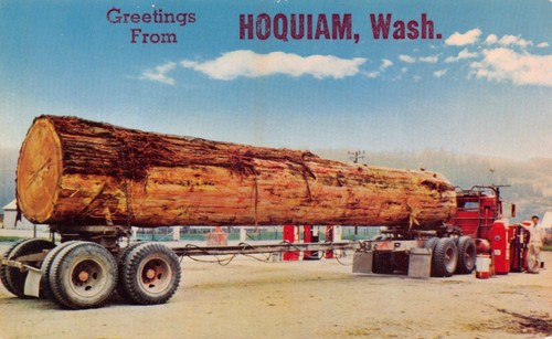 Postcard hoquiam greetings - postcard,