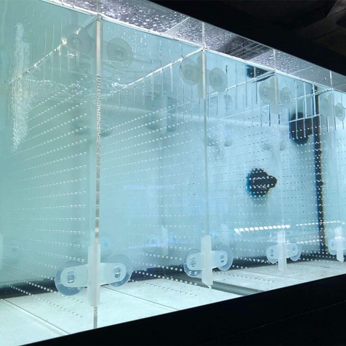 Acrylic aquarium divider - acrylic,