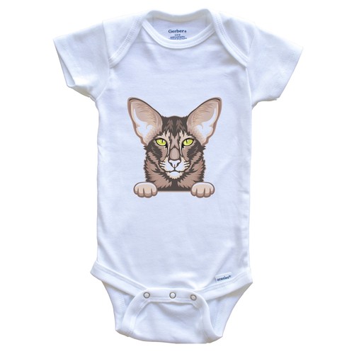 Oriental shorthair cat - shorthair, popping