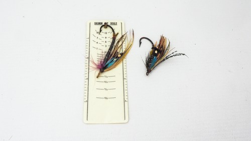 Rare two very early salmon - -,