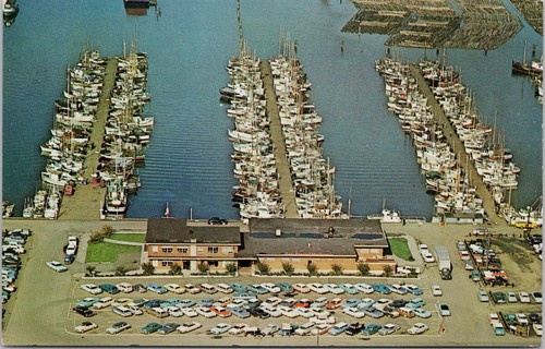 Seattle the wharf - wa,