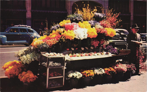 Flower vendor roadside stand - flower,