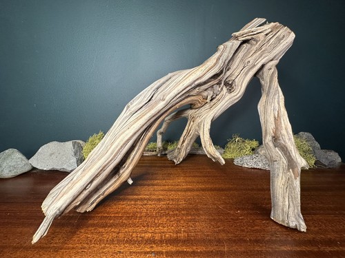 Manzanita driftwood - 15”,