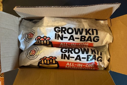 5lb all one mushroom grow - in,